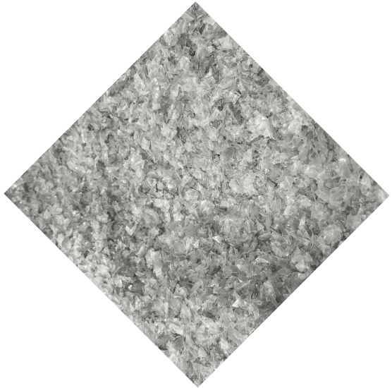 C&S Processing Company